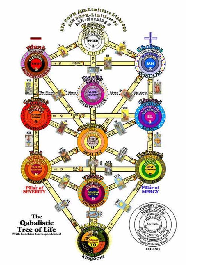 treeoflife