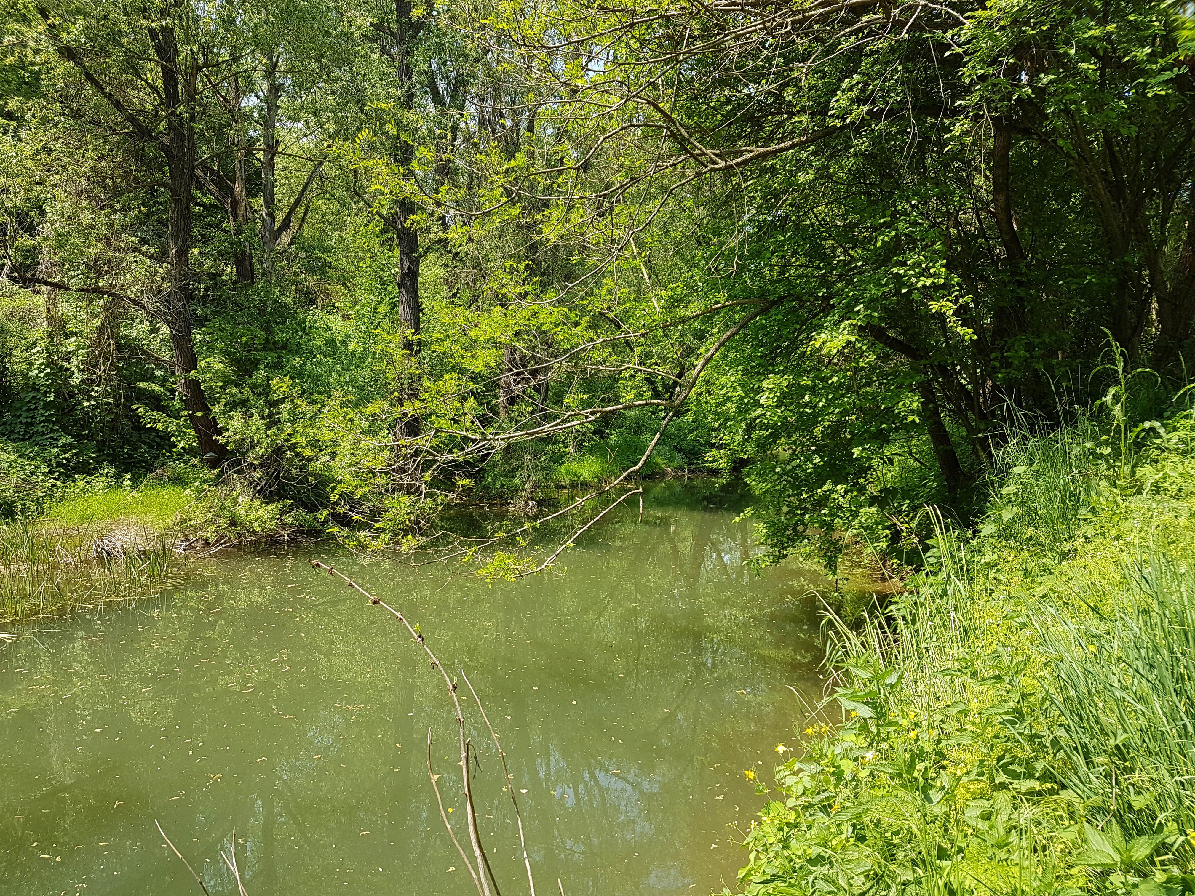 river0