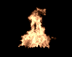 46